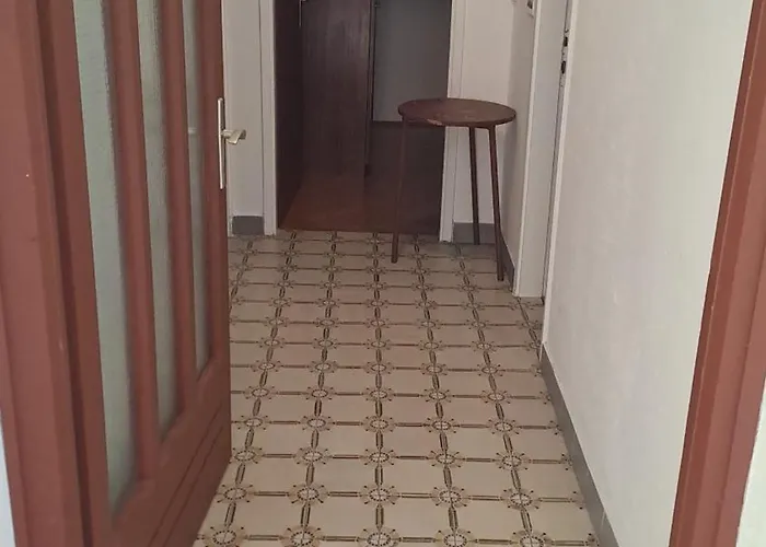 Jure Erceg * 斯塔利格拉德-帕克利尼卡