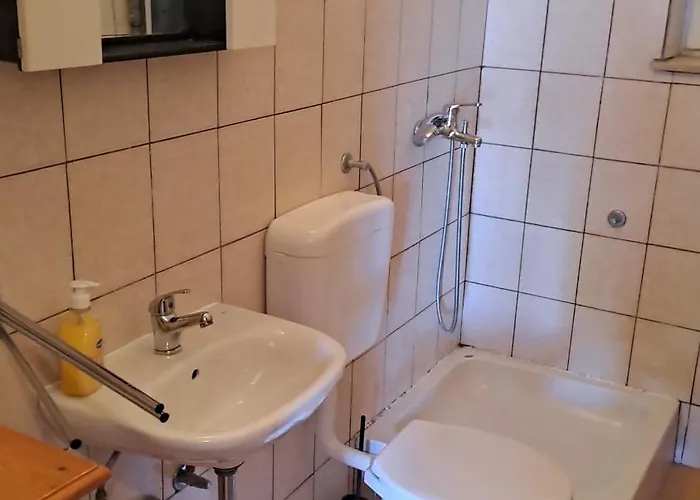 Jure Erceg 斯塔利格拉德-帕克利尼卡