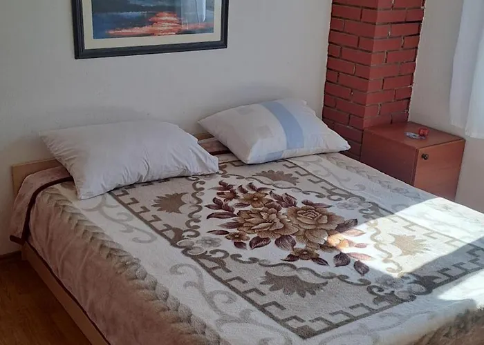 Jure Erceg 斯塔利格拉德-帕克利尼卡