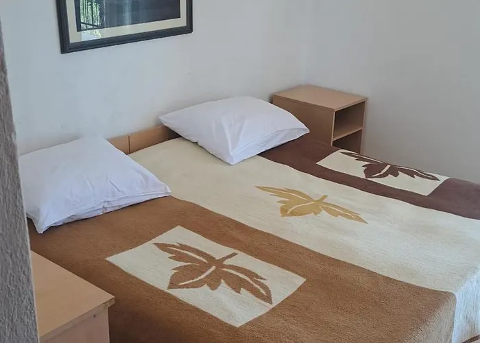 Jure Erceg * 斯塔利格拉德-帕克利尼卡